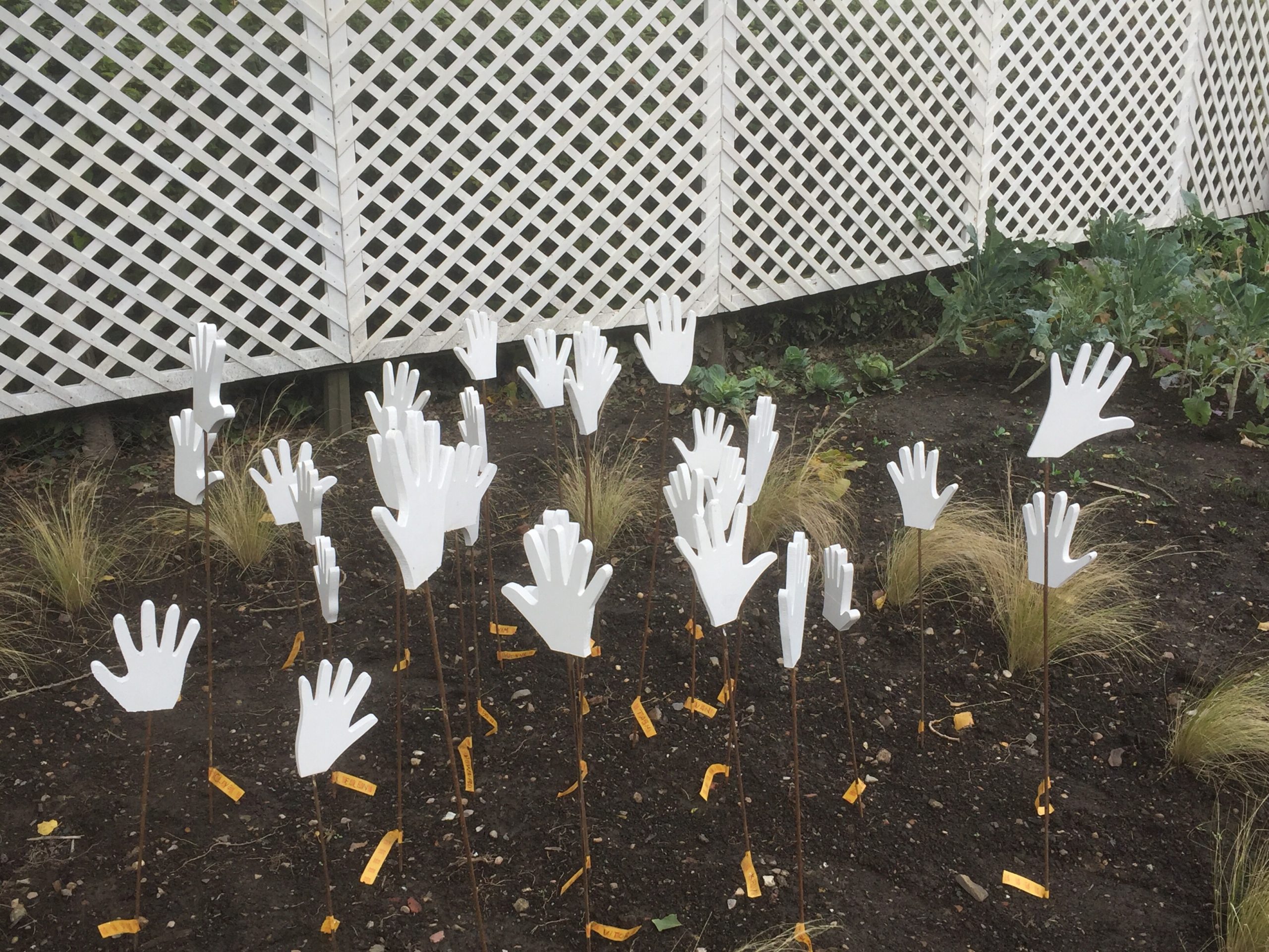 Growing Lives cultivates new measures to safely reopen featured image